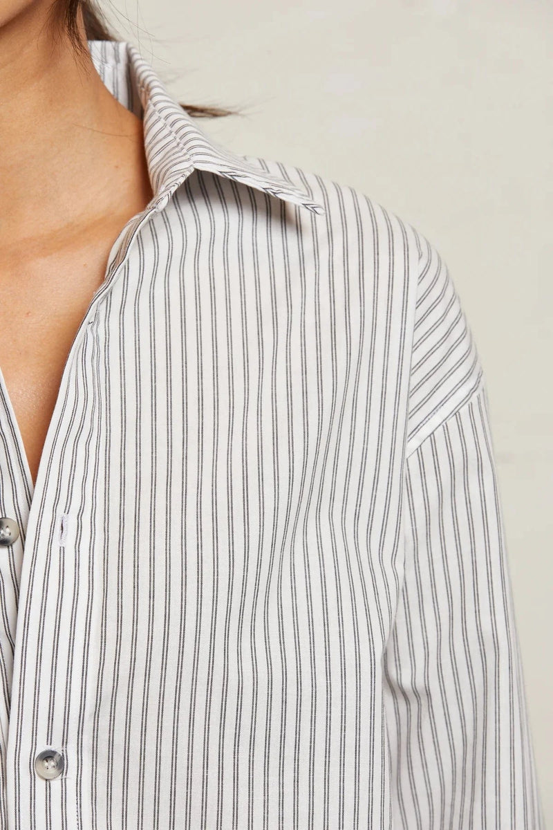 James Button Down | Ivory + Black Stripe