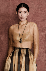 Luca Crinkle Mesh Blouse | Golden