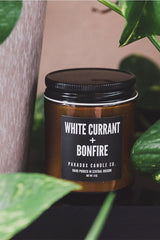 paradox white current and bonfire candle